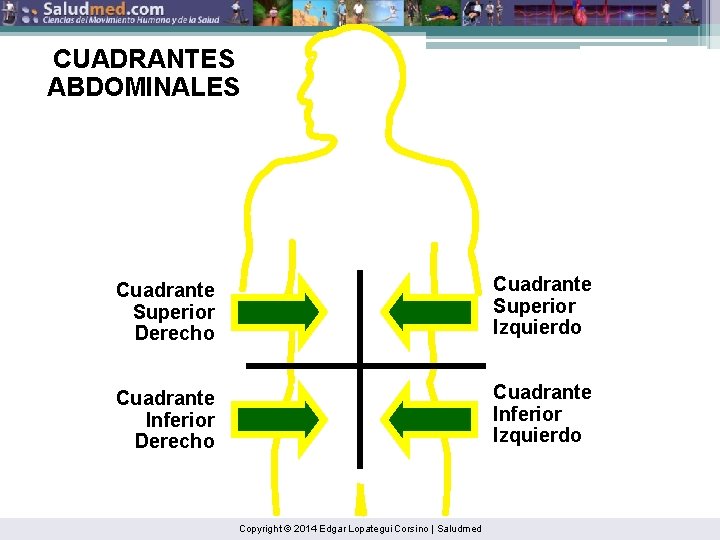 CUADRANTES ABDOMINALES Cuadrante Superior Derecho Cuadrante Superior Izquierdo Cuadrante Inferior Derecho Cuadrante Inferior Izquierdo