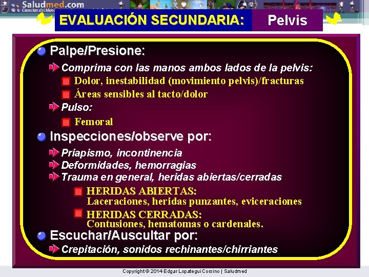 EVALUACIÓN SECUNDARIA: Pelvis Palpe/Presione: Comprima con las manos ambos lados de la pelvis: Dolor,