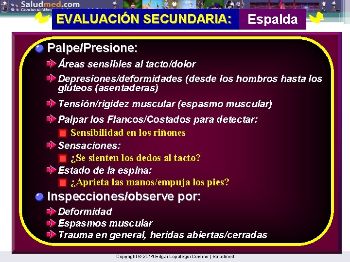 EVALUACIÓN SECUNDARIA: Espalda Palpe/Presione: Áreas sensibles al tacto/dolor Depresiones/deformidades (desde los hombros hasta los