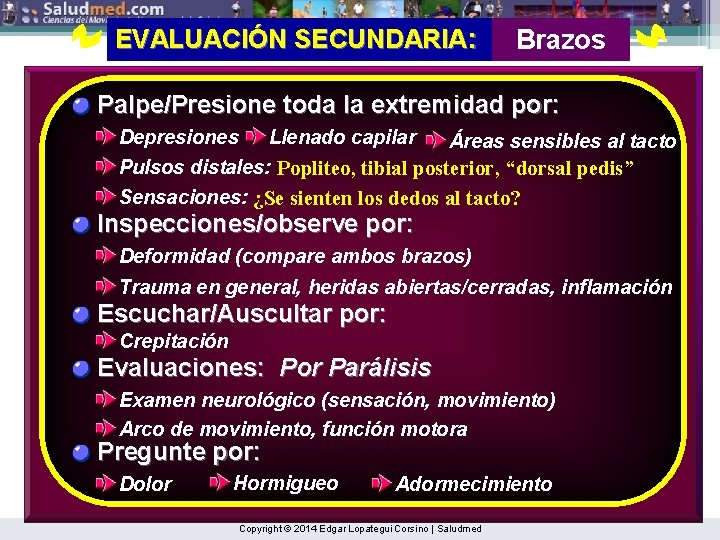 EVALUACIÓN SECUNDARIA: Brazos Palpe/Presione toda la extremidad por: Depresiones Llenado capilar Áreas sensibles al