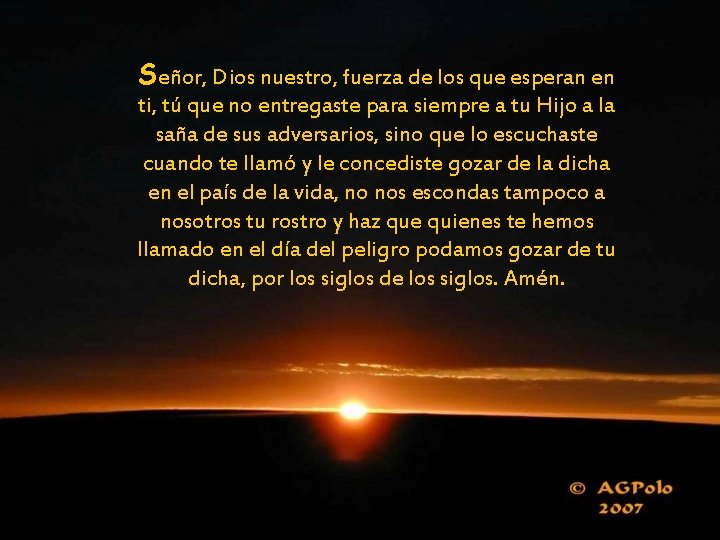 Señor, Dios nuestro, fuerza de los que esperan en ti, tú que no entregaste
