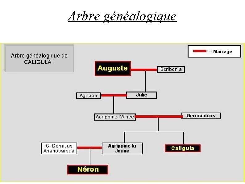 Arbre généalogique de CALIGULA : 