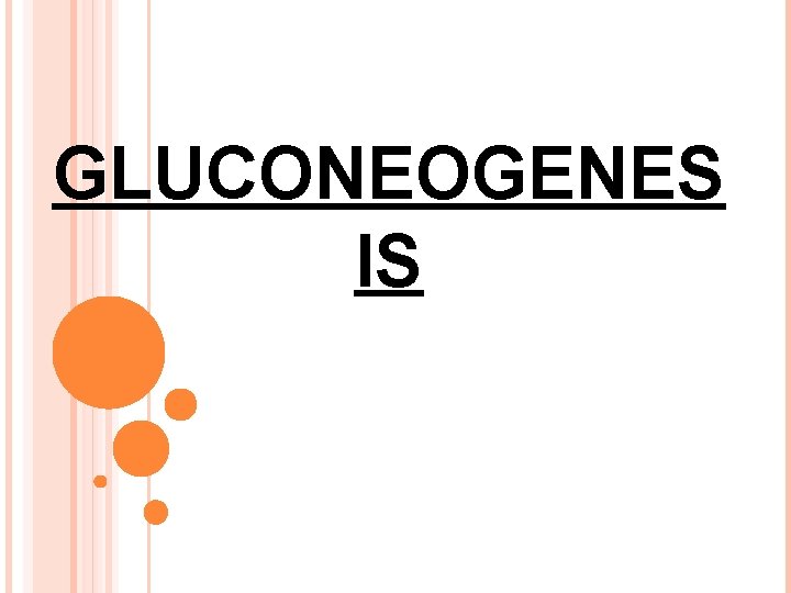GLUCONEOGENES IS 