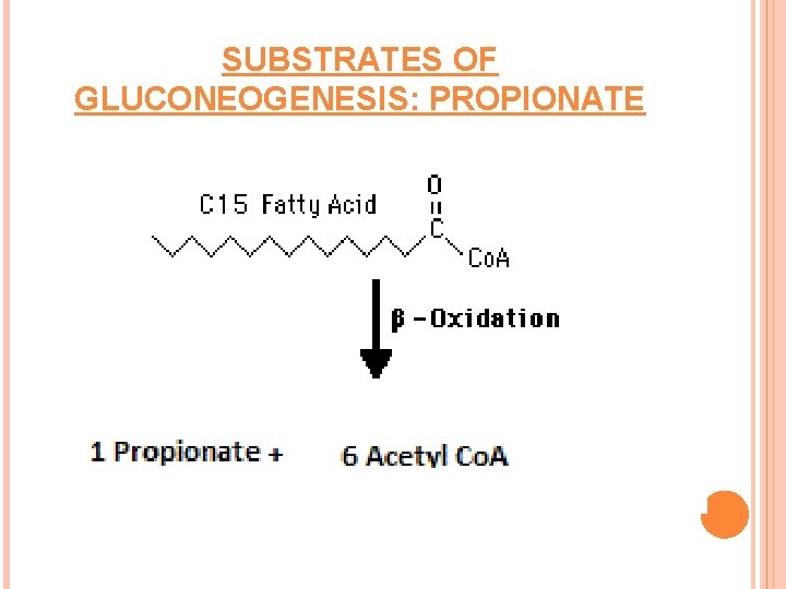 SUBSTRATES OF GLUCONEOGENESIS: PROPIONATE 