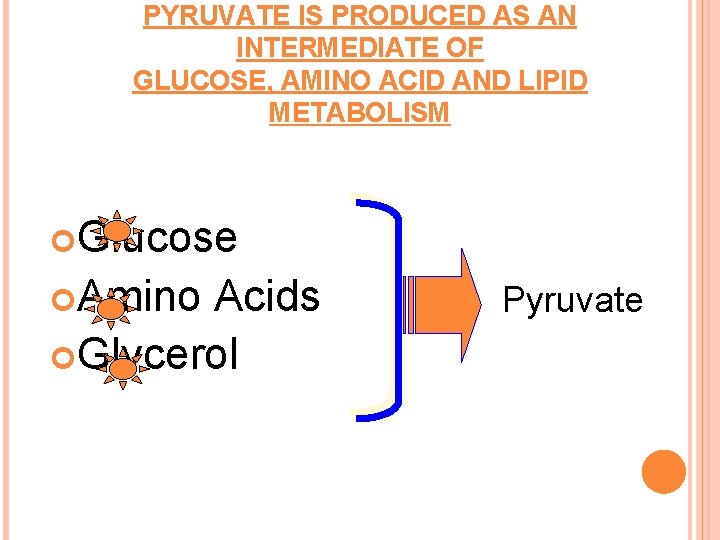 PYRUVATE IS PRODUCED AS AN INTERMEDIATE OF GLUCOSE, AMINO ACID AND LIPID METABOLISM Glucose