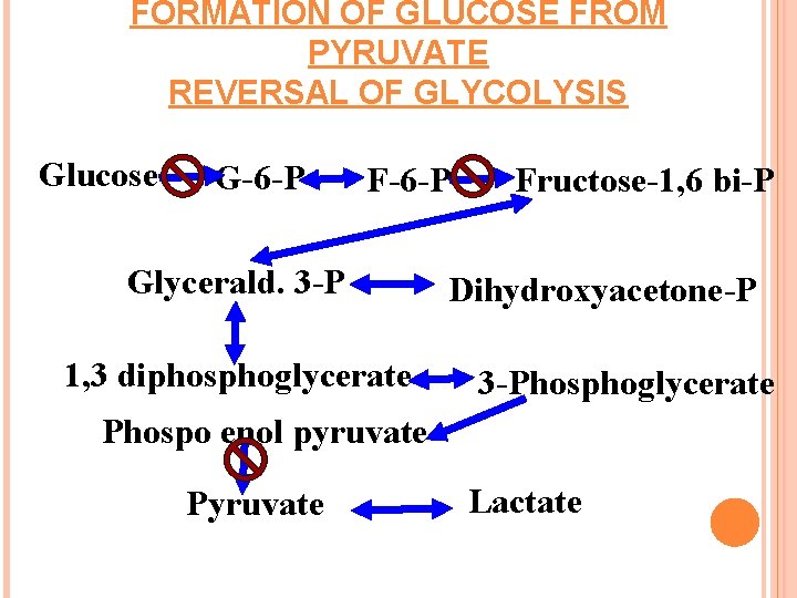 FORMATION OF GLUCOSE FROM PYRUVATE REVERSAL OF GLYCOLYSIS Glucose G-6 -P F-6 -P Glycerald.