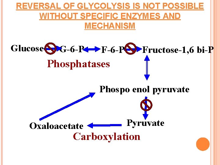 REVERSAL OF GLYCOLYSIS IS NOT POSSIBLE WITHOUT SPECIFIC ENZYMES AND MECHANISM Glucose G-6 -P