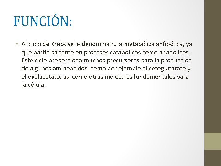 FUNCIÓN: • Al ciclo de Krebs se le denomina ruta metabólica anfibólica, ya que