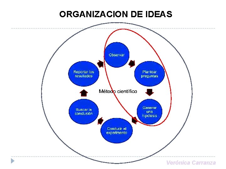 ORGANIZACION DE IDEAS Verónica Carranza 