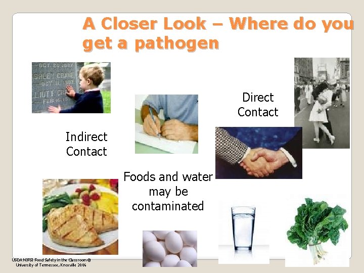 A Closer Look – Where do you get a pathogen Direct Contact Indirect Contact