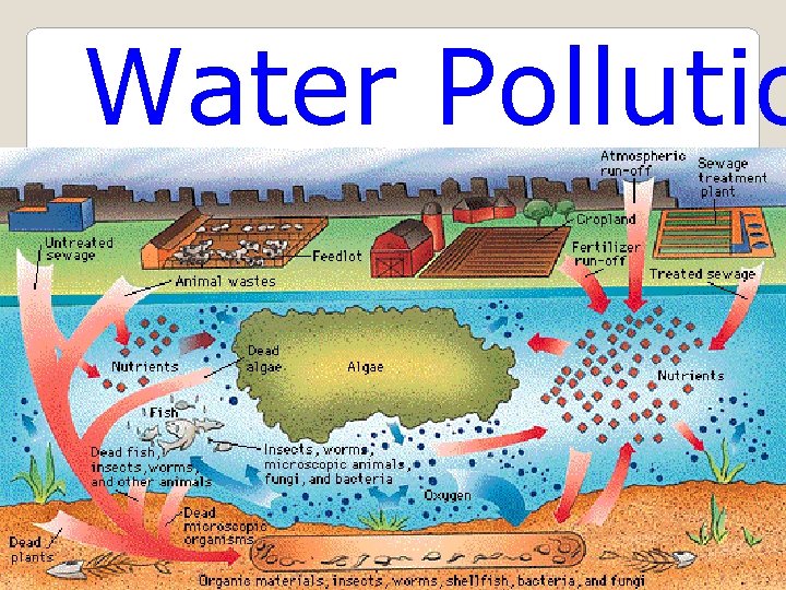 Water Pollutio 
