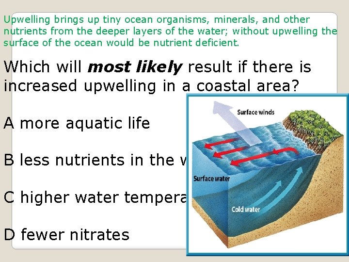 Upwelling brings up tiny ocean organisms, minerals, and other nutrients from the deeper layers