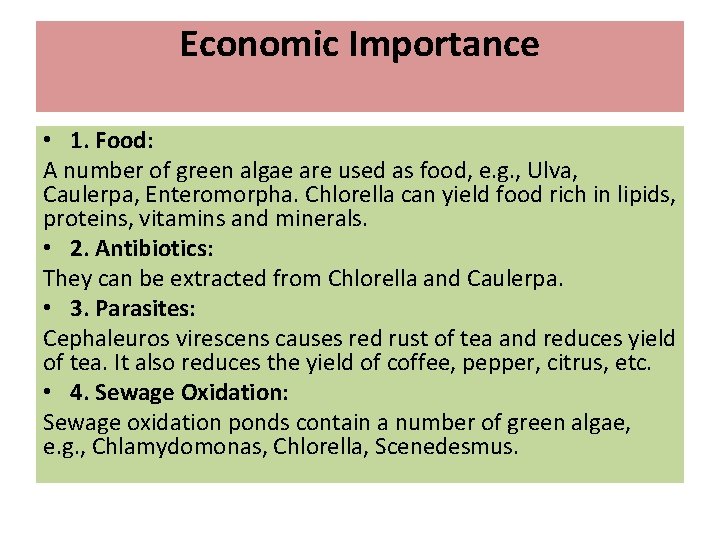 Economic Importance • 1. Food: A number of green algae are used as food,