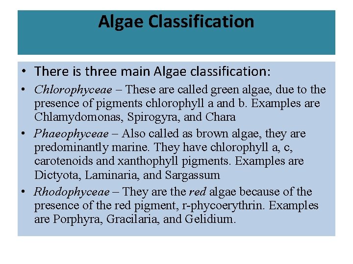 Algae Classification • There is three main Algae classification: • Chlorophyceae – These are