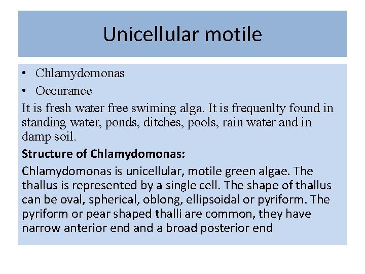Unicellular motile • Chlamydomonas • Occurance It is fresh water free swiming alga. It