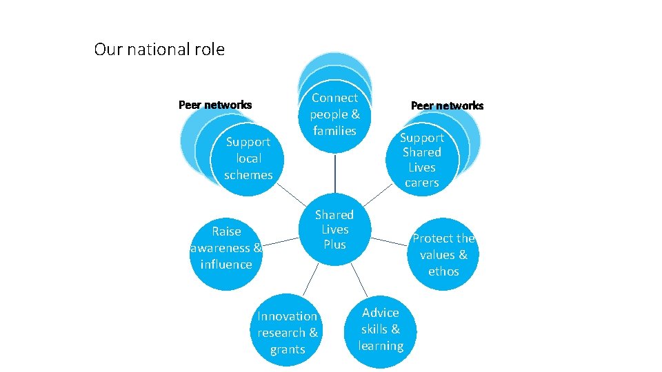 Our national role Peer networks Support local schemes Raise awareness & influence Connect people Our national role Peer networks Support local schemes Raise awareness & influence Connect people