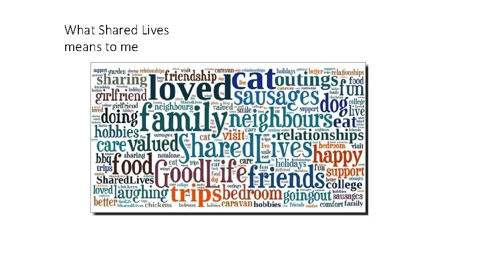 What Shared Lives means to me What Shared Lives means to me