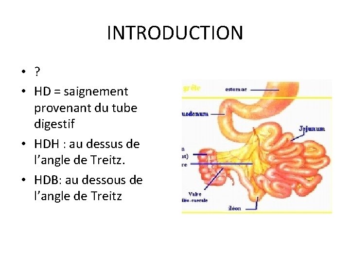 INTRODUCTION • ? • HD = saignement provenant du tube digestif • HDH :