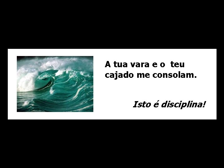 A tua vara e o teu cajado me consolam. Isto é disciplina! 