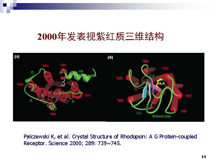 2000年发表视紫红质三维结构 Palczewski K, et al. Crystal Structure of Rhodopsin: A G Protein-coupled Receptor. Science