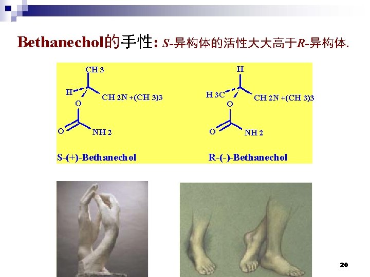 Bethanechol的手性: S-异构体的活性大大高于R-异构体. H CH 3 H O O CH 2 N +(CH 3)3 NH