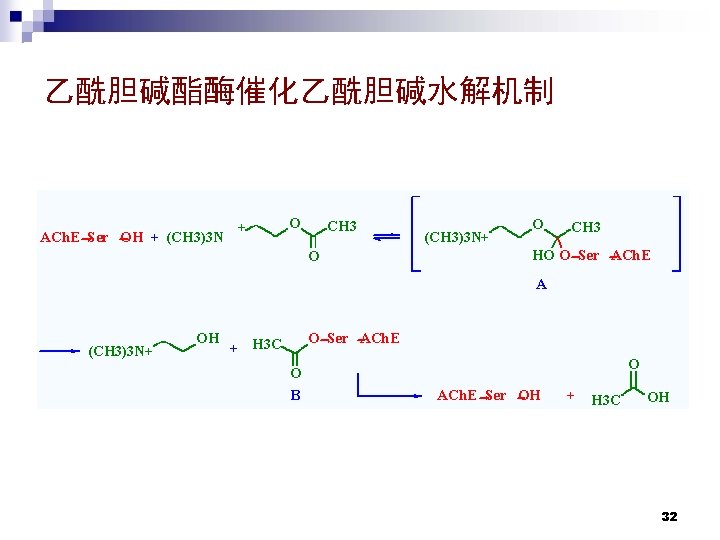 乙酰胆碱酯酶催化乙酰胆碱水解机制 ACh. E Ser OH + (CH 3)3 N O + CH 3 O