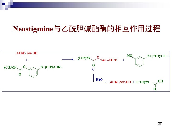 Neostigmine与乙酰胆碱酯酶的相互作用过程 ACh. E-Ser-OH + O (CH 3)2 N N+(CH 3)3 Br - HO Ser