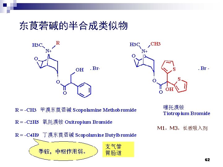 东莨菪碱的半合成类似物 R H 3 C CH 3 H 3 C N+ O O OH