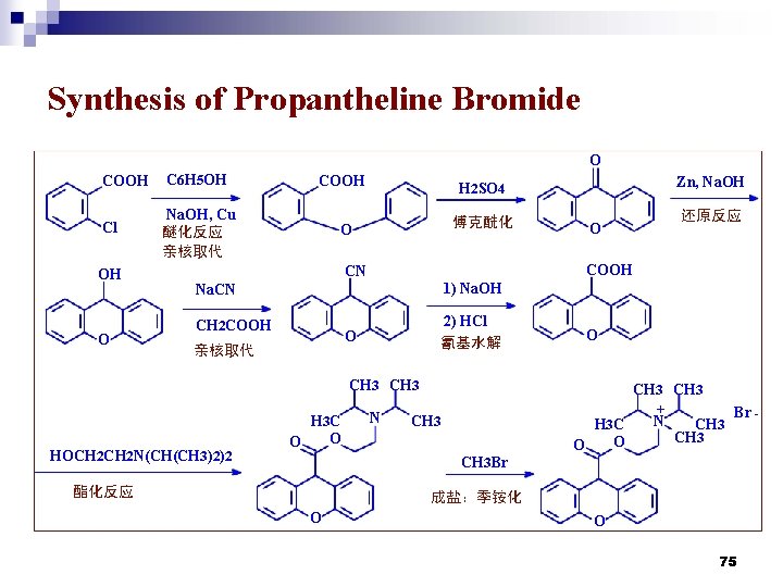 Synthesis of Propantheline Bromide O COOH C 6 H 5 OH Cl Na. OH,