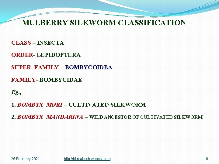 MULBERRY SILKWORM CLASSIFICATION CLASS – INSECTA ORDER- LEPIDOPTERA SUPER FAMILY – BOMBYCOIDEA FAMILY- BOMBYCIDAE