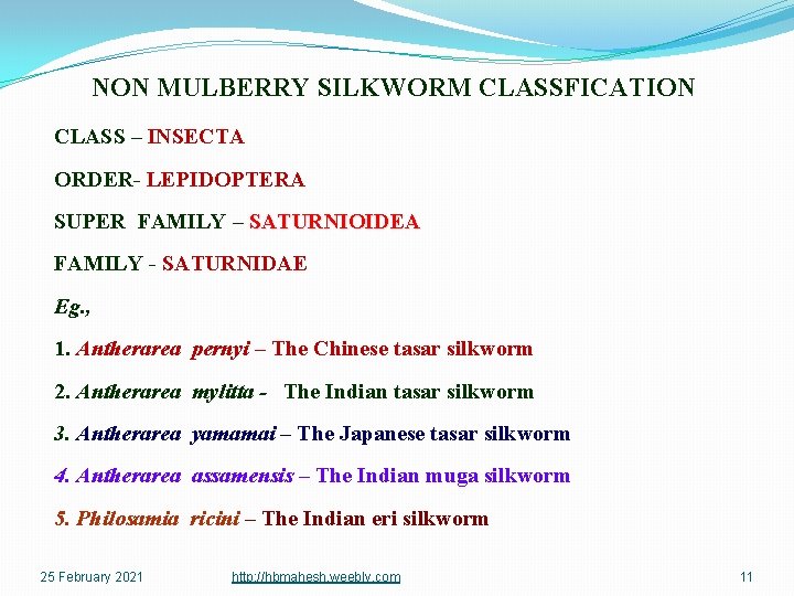 NON MULBERRY SILKWORM CLASSFICATION CLASS – INSECTA ORDER- LEPIDOPTERA SUPER FAMILY – SATURNIOIDEA FAMILY