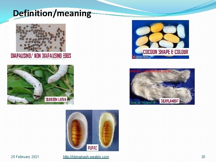 Definition/meaning 25 February 2021 http: //hbmahesh. weebly. com 20 