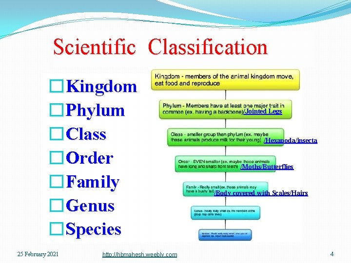 Scientific Classification �Kingdom �Phylum �Class �Order �Family �Genus �Species 25 February 2021 http: //hbmahesh.
