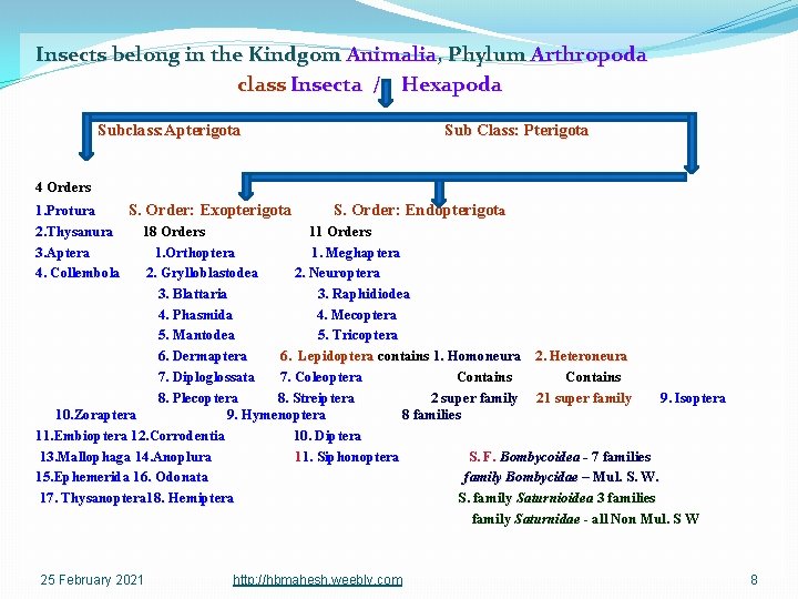 Insects belong in the Kindgom Animalia, Phylum Arthropoda class Insecta / Hexapoda Subclass: Apterigota