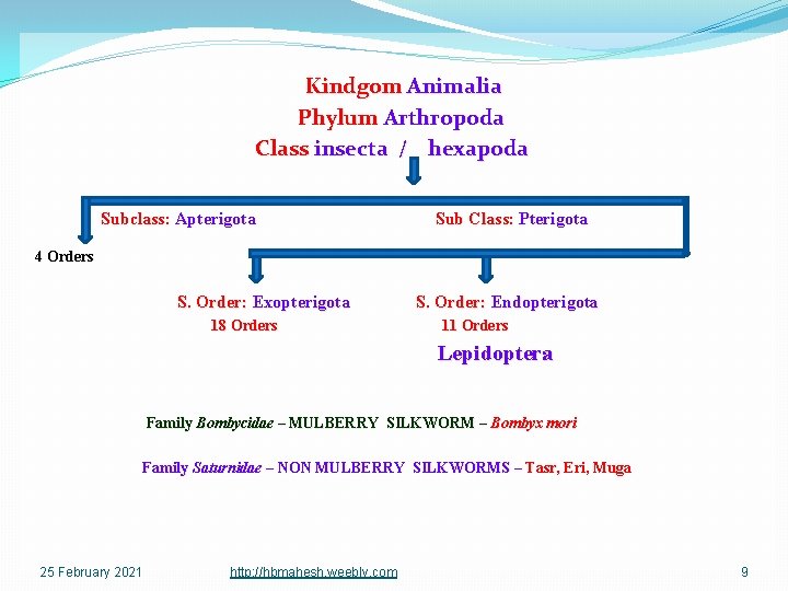 Kindgom Animalia Phylum Arthropoda Class insecta / hexapoda Subclass: Apterigota Sub Class: Pterigota 4