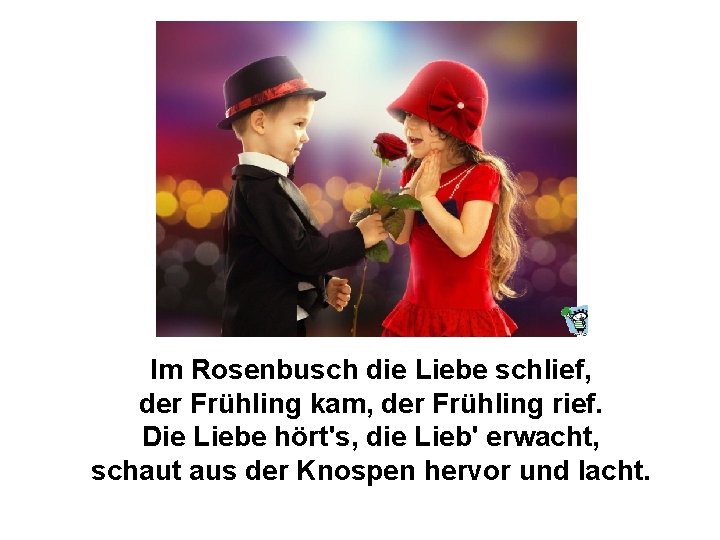 Hasch Mich Der Lenz Ist Da Die Winterklamotten