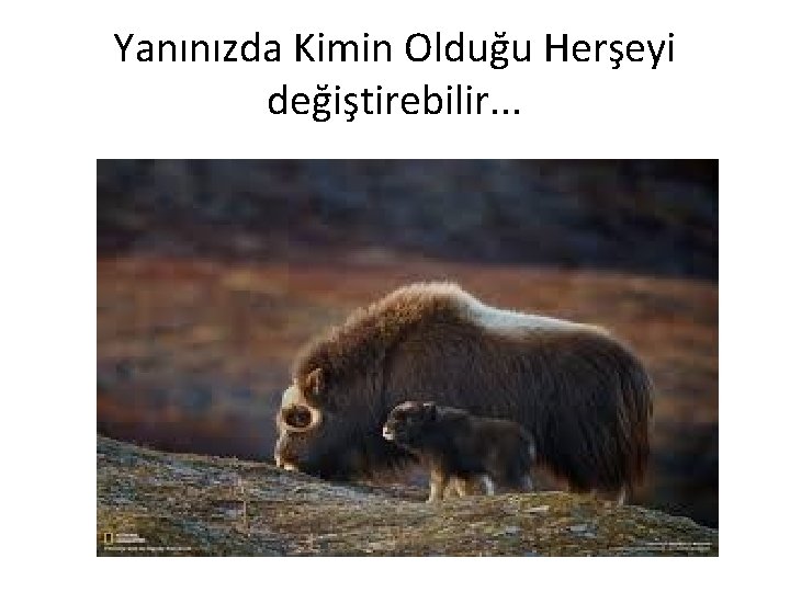 Yanınızda Kimin Olduğu Herşeyi değiştirebilir. . . 