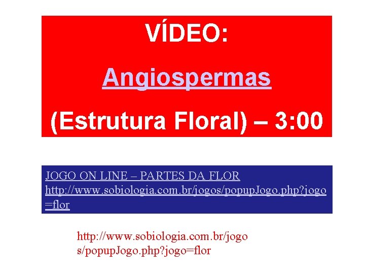 VÍDEO: Angiospermas (Estrutura Floral) – 3: 00 JOGO ON LINE – PARTES DA FLOR