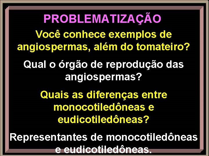 PROBLEMATIZAÇÃO Você conhece exemplos de angiospermas, além do tomateiro? Qual o órgão de reprodução