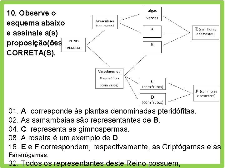 10. Observe o esquema abaixo e assinale a(s) proposição(ões) CORRETA(S). 01. A corresponde às