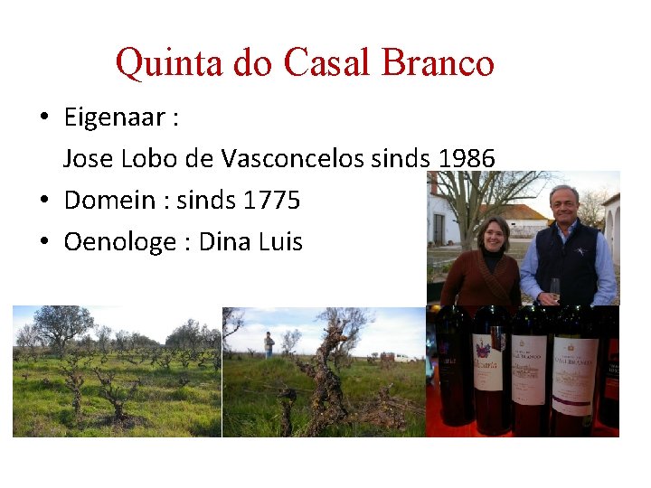 Quinta do Casal Branco • Eigenaar : Jose Lobo de Vasconcelos sinds 1986 • Quinta do Casal Branco • Eigenaar : Jose Lobo de Vasconcelos sinds 1986 •