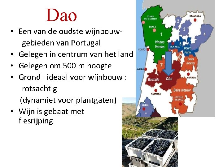 Dao • Een van de oudste wijnbouwgebieden van Portugal • Gelegen in centrum van Dao • Een van de oudste wijnbouwgebieden van Portugal • Gelegen in centrum van