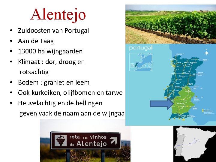 Alentejo Zuidoosten van Portugal Aan de Taag 13000 ha wijngaarden Klimaat : dor, droog Alentejo Zuidoosten van Portugal Aan de Taag 13000 ha wijngaarden Klimaat : dor, droog