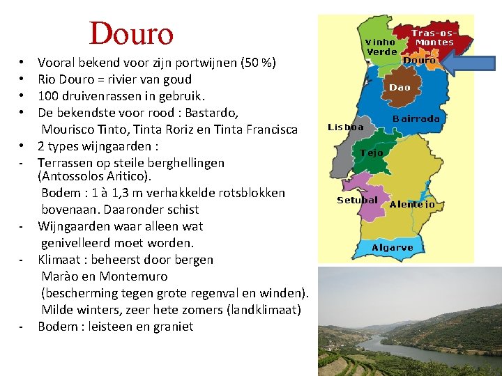 Douro Vooral bekend voor zijn portwijnen (50 %) Rio Douro = rivier van goud Douro Vooral bekend voor zijn portwijnen (50 %) Rio Douro = rivier van goud