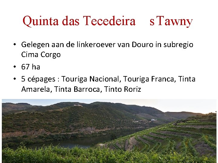 Quinta das Tecedeira s Tawny • Gelegen aan de linkeroever van Douro in subregio Quinta das Tecedeira s Tawny • Gelegen aan de linkeroever van Douro in subregio