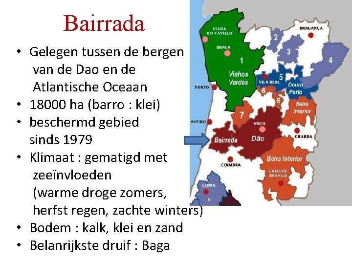 Bairrada • Gelegen tussen de bergen van de Dao en de Atlantische Oceaan • Bairrada • Gelegen tussen de bergen van de Dao en de Atlantische Oceaan •