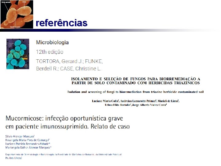 referências 