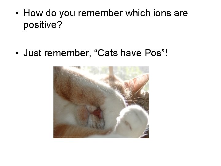  • How do you remember which ions are positive? • Just remember, “Cats