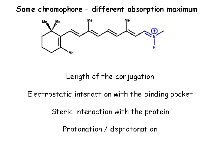 Same chromophore – different absorption maximum Length of the conjugation Electrostatic interaction with the