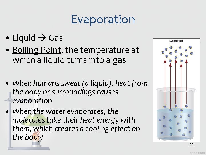 Evaporation • Liquid Gas • Boiling Point: the temperature at which a liquid turns